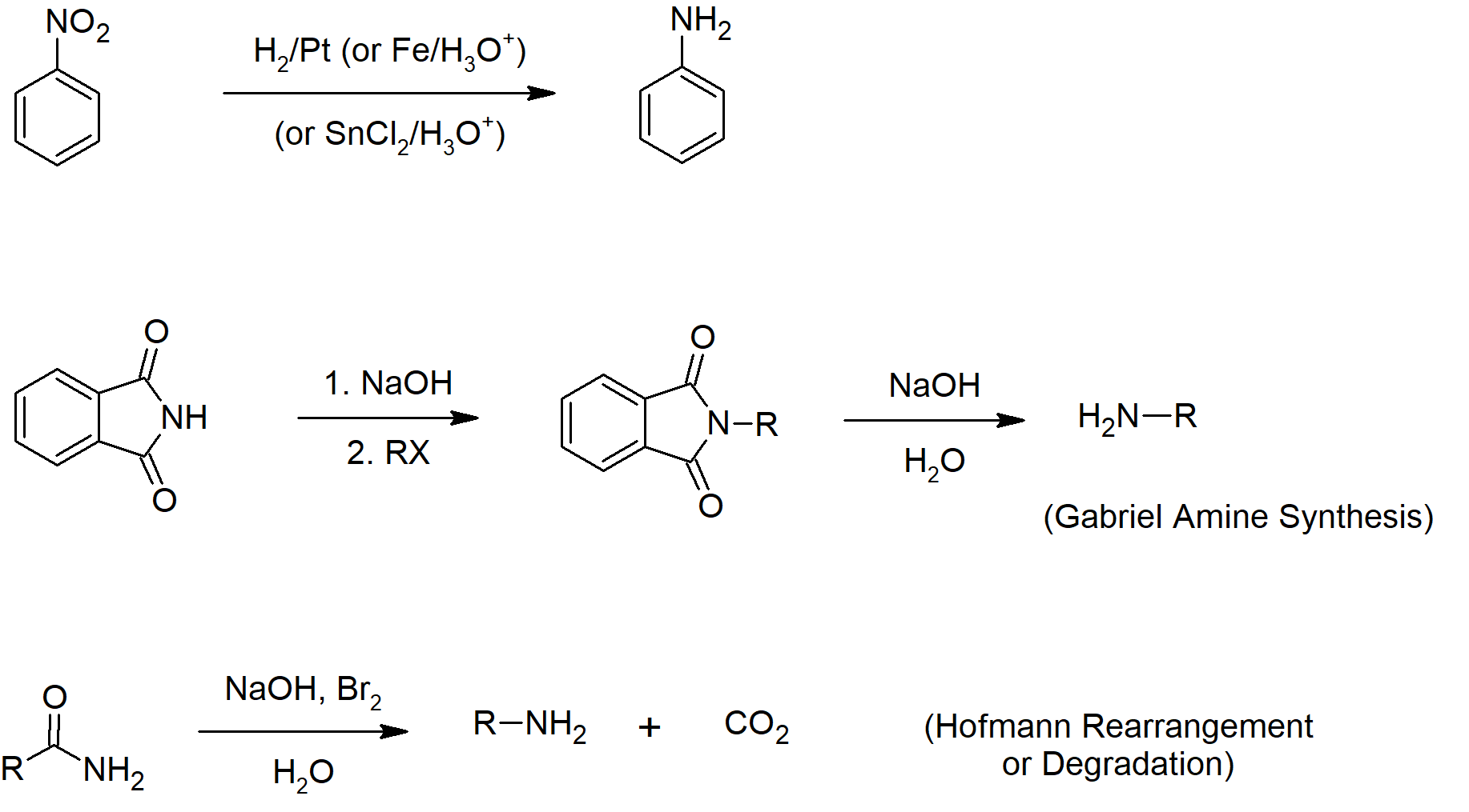 20.4: Synthesis Of Amines - Chemistry LibreTexts