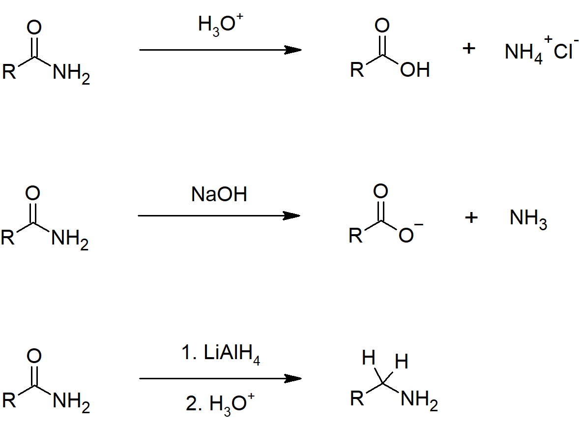 Amide Reactions.png