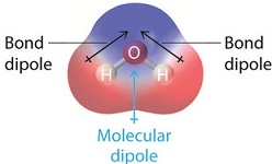 3.5: Molecular Polarity