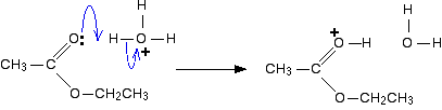 hydrolysem1.gif