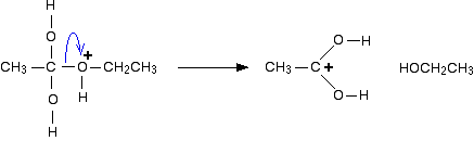hydrolysem4.gif
