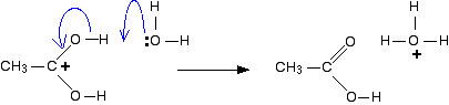 hydrolysem5.gif