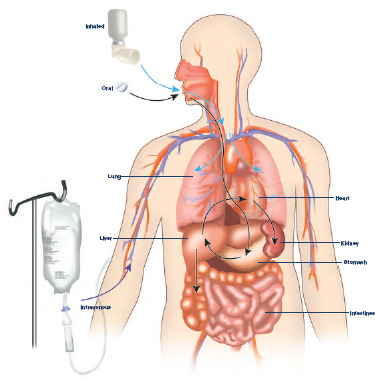 Drug entering body orally via an inhaler.
