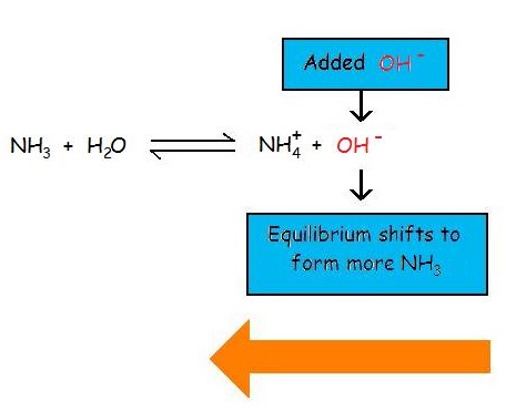 NH3 reacts with H2 O to produce NH4 plus and OH minus. If more OH minus is added to the reaction, the equilibrium would shifts to form more NH3. 