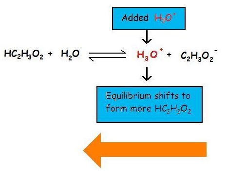 HC2H3O2 reactions with H2O to produce H3O plus and C2H3 O2 minus. If more H3O plus is added to the reaction, the equilibrium would shift to form more HC2H3O2. 