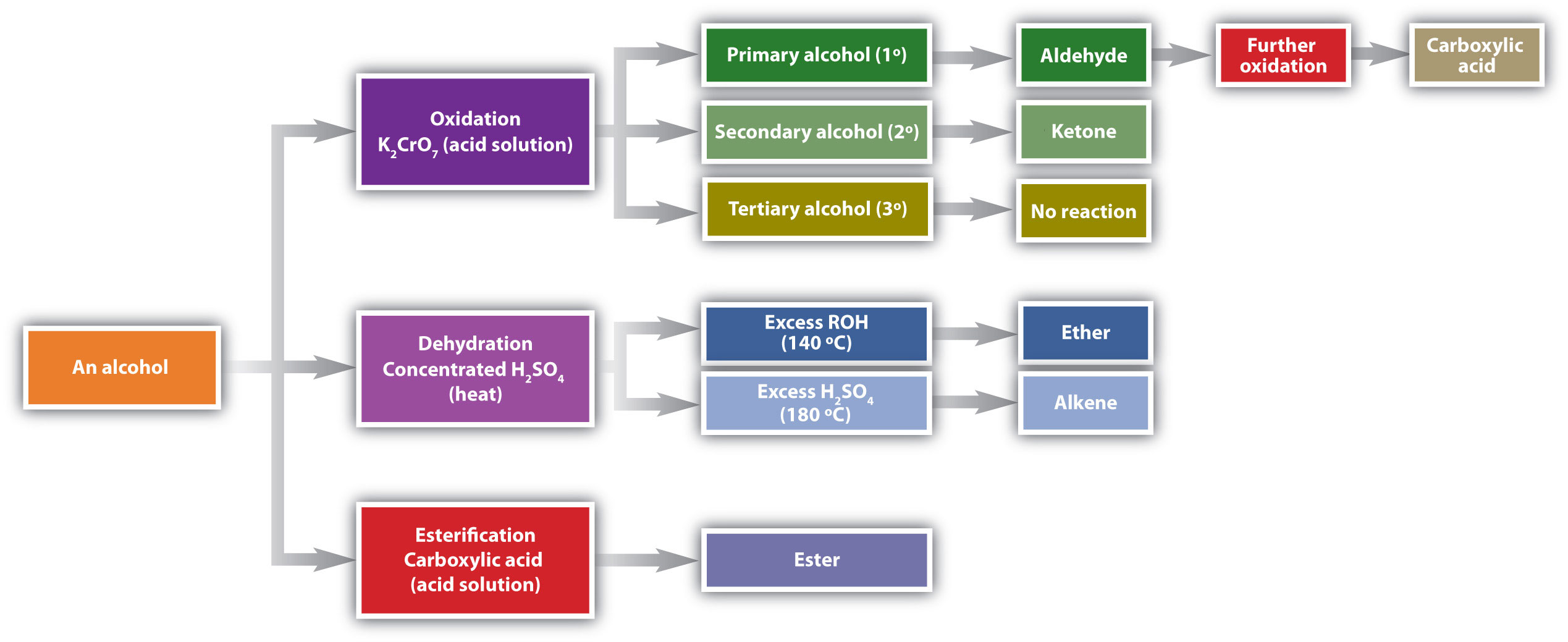 Un diagrama de flujo de tres posibles reacciones de un alcohol. Los productos finales de las reacciones también se muestran al final del diagrama de flujo.