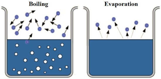 Boiling versus Evaporation.png
