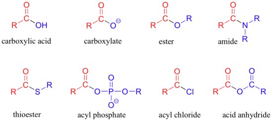 Chemical diagram. Chemical structures of carboxylic acid, carboxylate, ester, amide, thioester, acyl phosphate, acyl chloride, and acid anhyde.