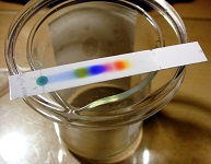 12: An Introduction to Chromatographic Separations