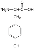 tyrosine.png