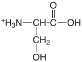 serine.png