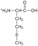 methionine.png