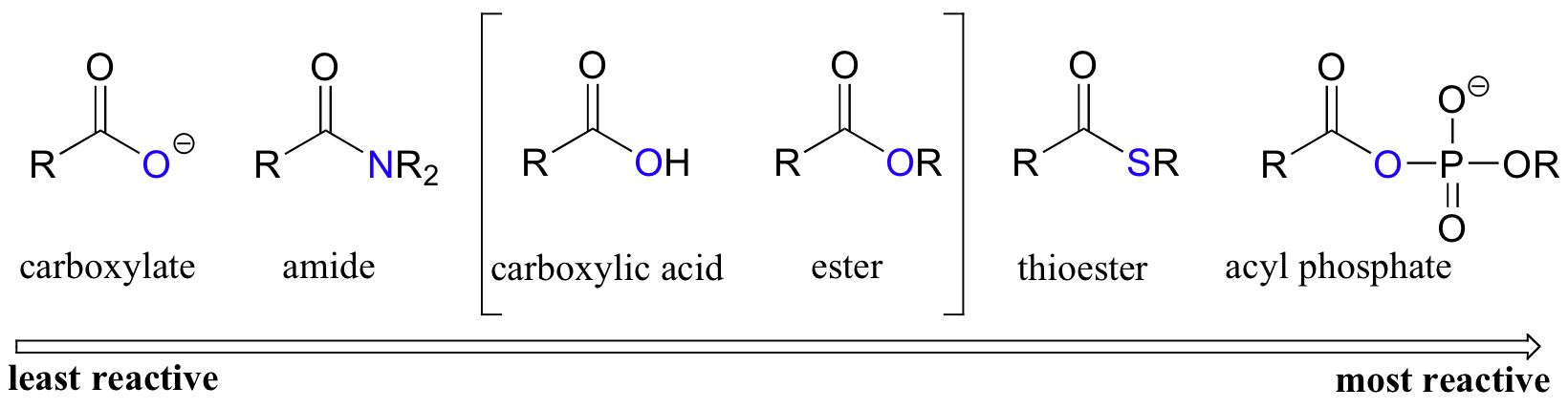 From least to most reactive: carboxylate, amide, carboxylic acid, ester, thioester, and acyl phosphate.