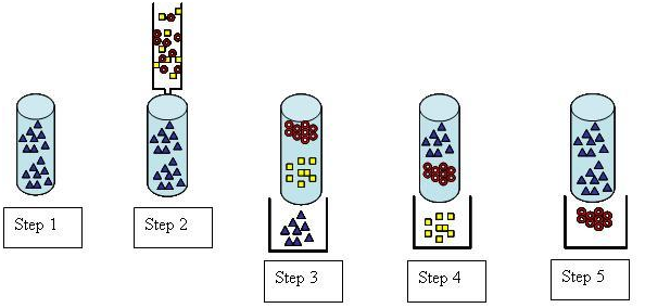 5_Step_Process.png