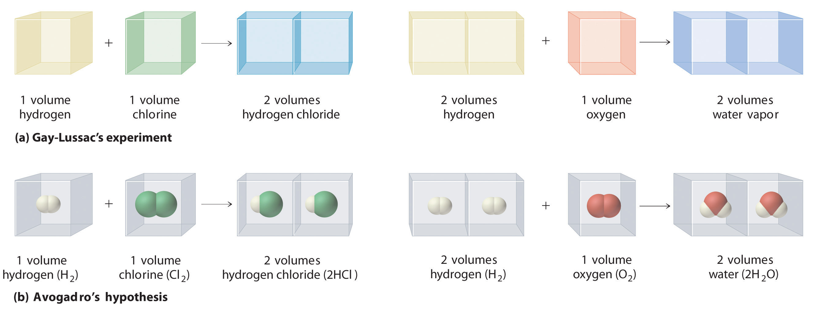 In the Gay-Lussac's experiment, 1 volume of hydrogen combines with 1 volume of chlorine to form two volumes of hydrogen chloride. 2 volumes of hydrogen combine with one volume of oxygen to form two volumes of water. In Avogadro's hypothesis, one volume of hydrogen (H2) combines with one volume of chlorine (Cl2) to form two volumes of hydrogen chloride (2HCl). Two volumes of hydrogen (H2) reacts with one volume of oxygen (O2) to form two volumes of water (2H2O).