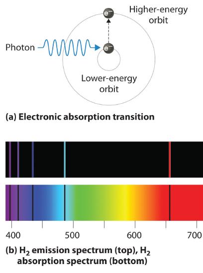 Photon hits a hydrogen atom and moves an electron from a lower energy orbital to a higher energy orbital. The hydrogen absorption spectrum includes the whole spectrum that is not in the emission spectrum.