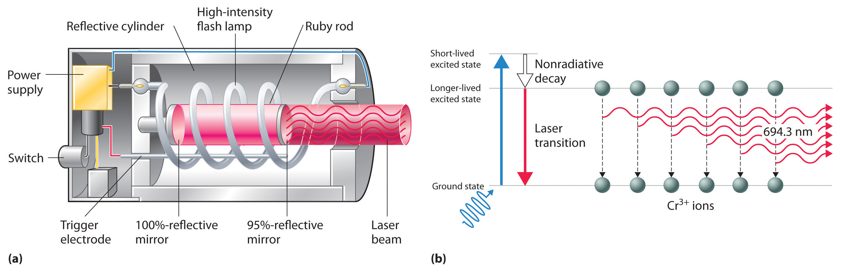A ruby laser consists of a power supply, switch, trigger electrode, 100% reflective mirror, 95% reflective mirror, reflective cylinder, high-intensity flash lamp, ruby rod, and laser beam.