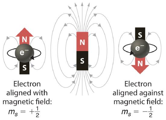 An electron aligned with a magnetic field has a spin value of +1/2, where as the electron aligned against the magnetic field has a spin value of -1/2.