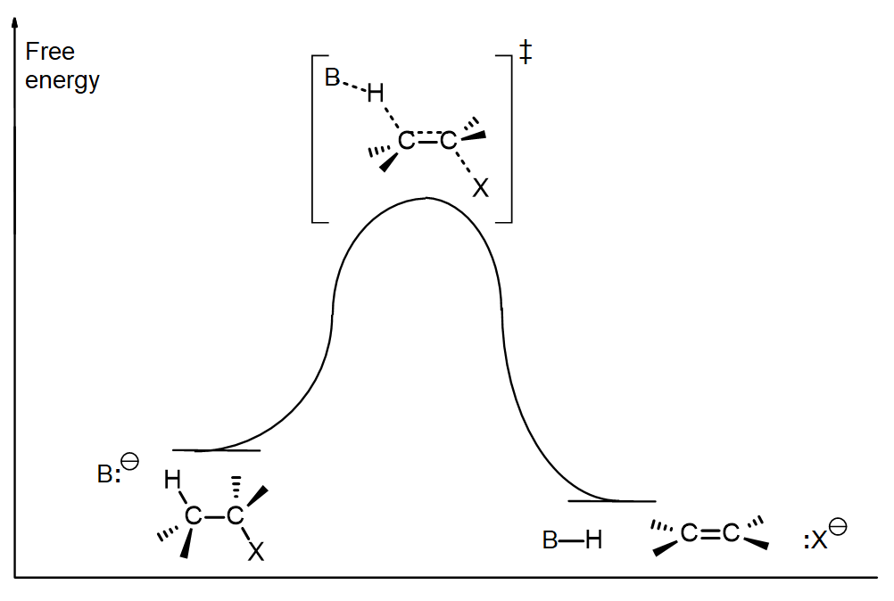 Free energy diagram for an E2 rxn, showing a rise to form the transition state then a fall to the products