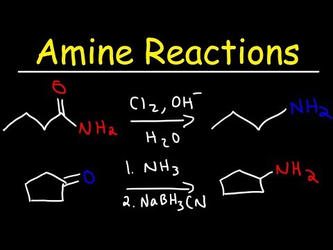 Thumbnail for the embedded element "Amine Synthesis Reactions"