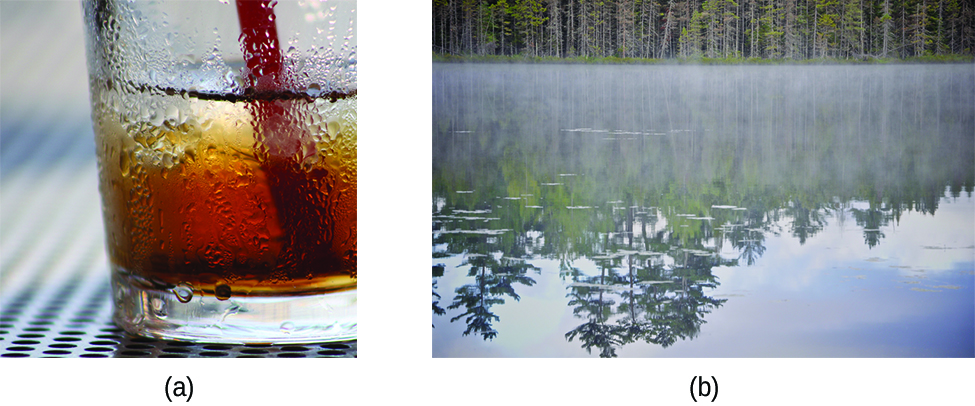 Image a shows a brown colored beverage in a glass with condensation on the outside. Image b shows a body of water with fog hovering above the surface of the water.