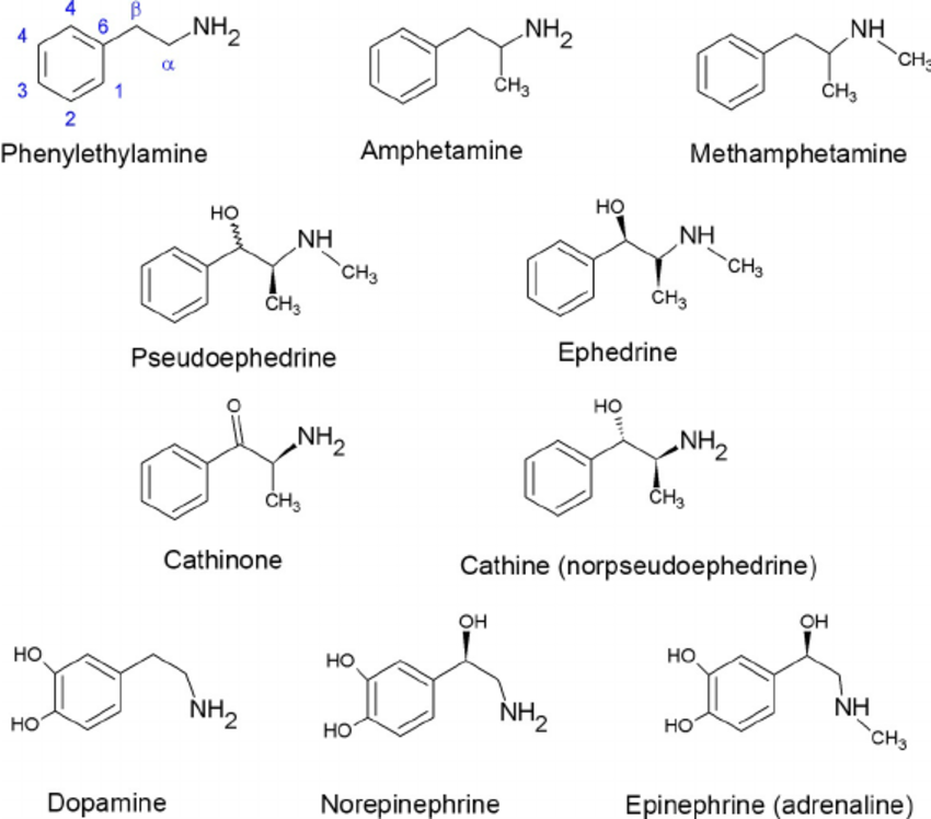 Comparison of structure of amphetamine to other neurotransmitters, showing similar chemical structure