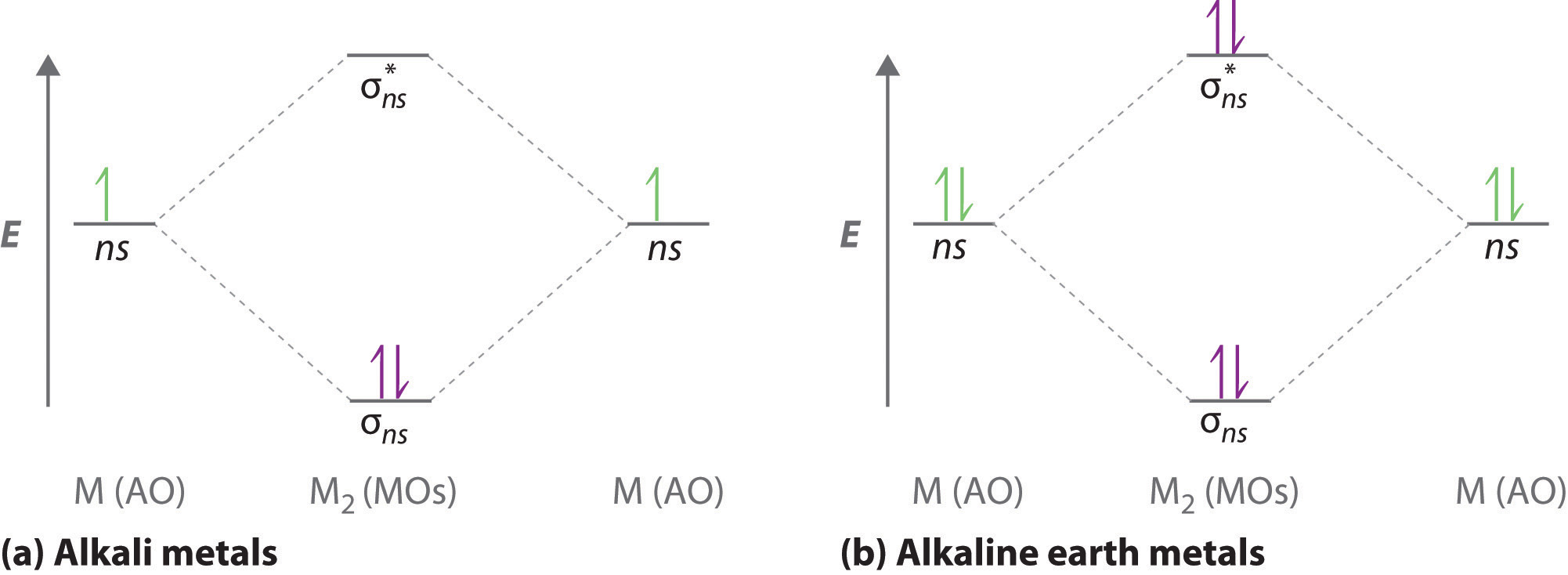 MO diagram for diatomic alkali metals showing two electrons in the bonding orbital. MO diagram for diatomic alkaline earth metals with two electrons in the bonding orbital and two electrons in the antibonding orbital.