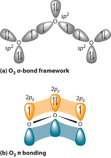 Diagram showing the sigma bond network of ozone showing direct overlap of orbitals and of the pi bonding showing side to side overlap of orbitals.