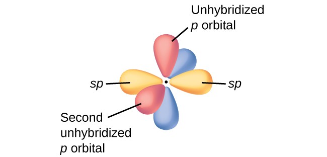 A diagram of a carbon atom with two balloon-like purple orbitals labeled, “sp” arranged in a linear fashion around it is shown. Four red balloon-like orbitals are aligned in pairs in the y and z axes around the carbon and are labeled, “unhybridized p orbital,” and, “Second unhybridized p orbital.”