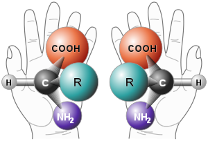 300px-Chirality_with_hands.svg.png
