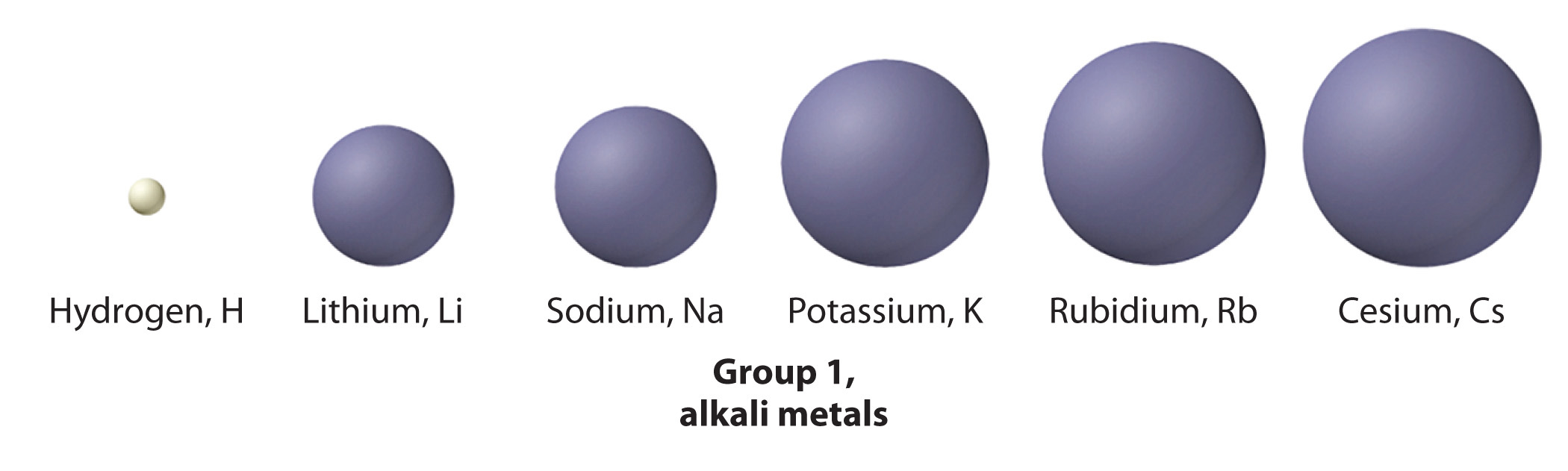 The group 1, alkali metals, are shown in order of increasing size.