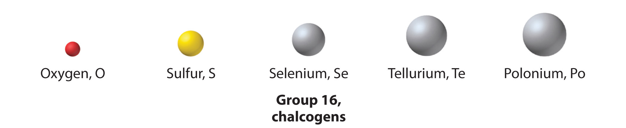 The elements of group 16, the chalcogens, are shown.