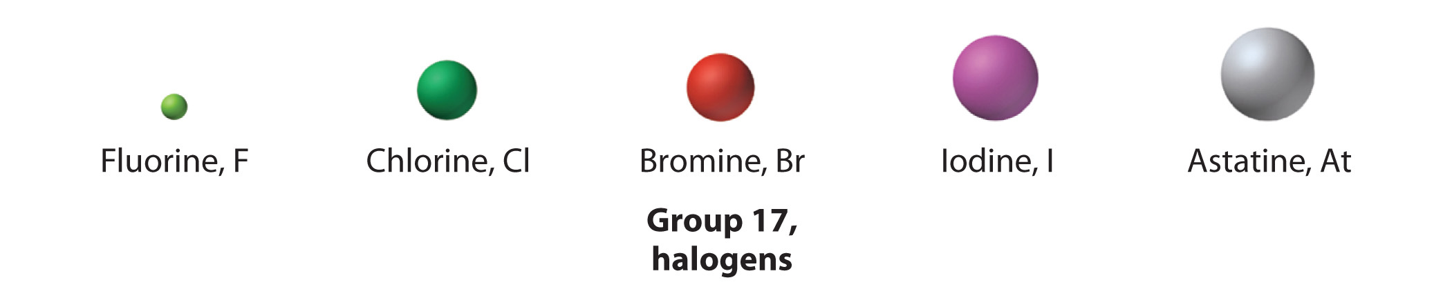 The elements of group 17, the halogens, are shown.