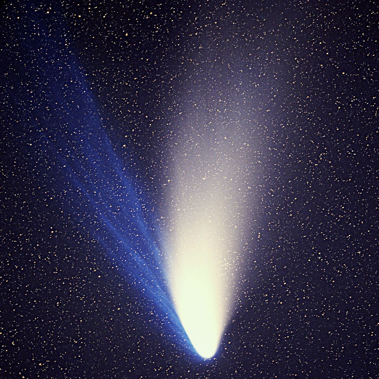 Image of a very bright Hale-Bopp Comet in the night sky.
