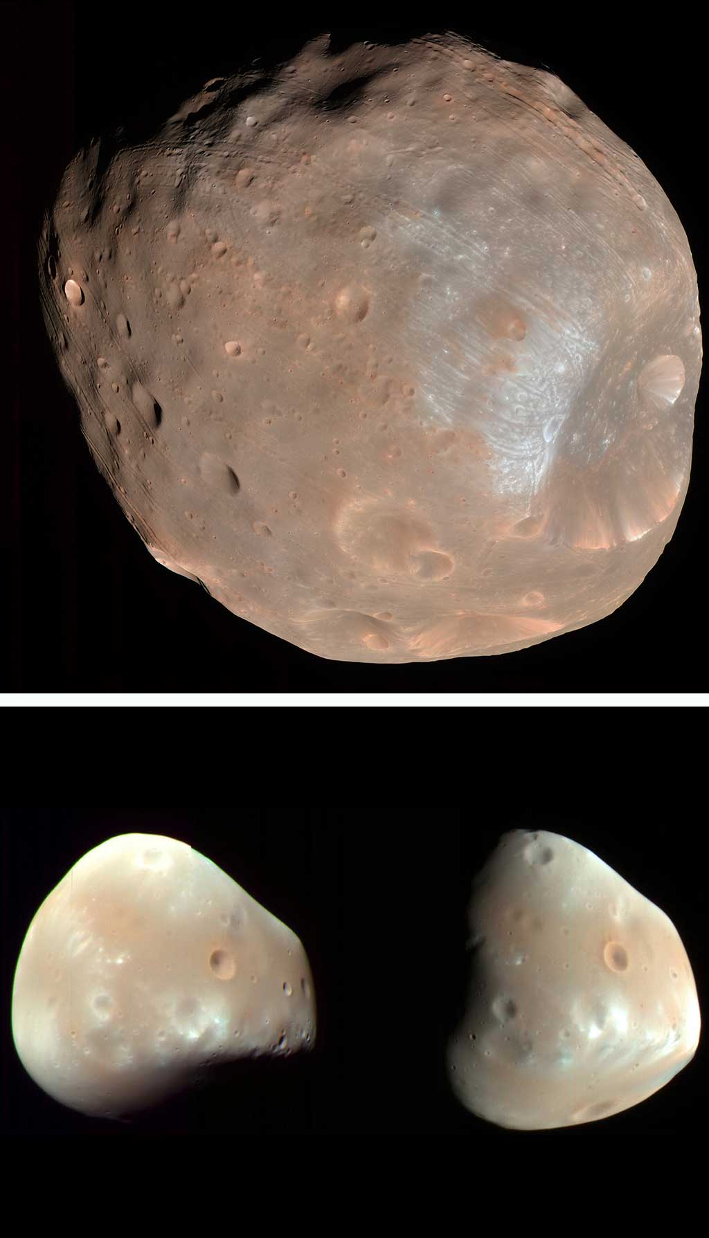 Image of Deimos and Phobos from Mars.