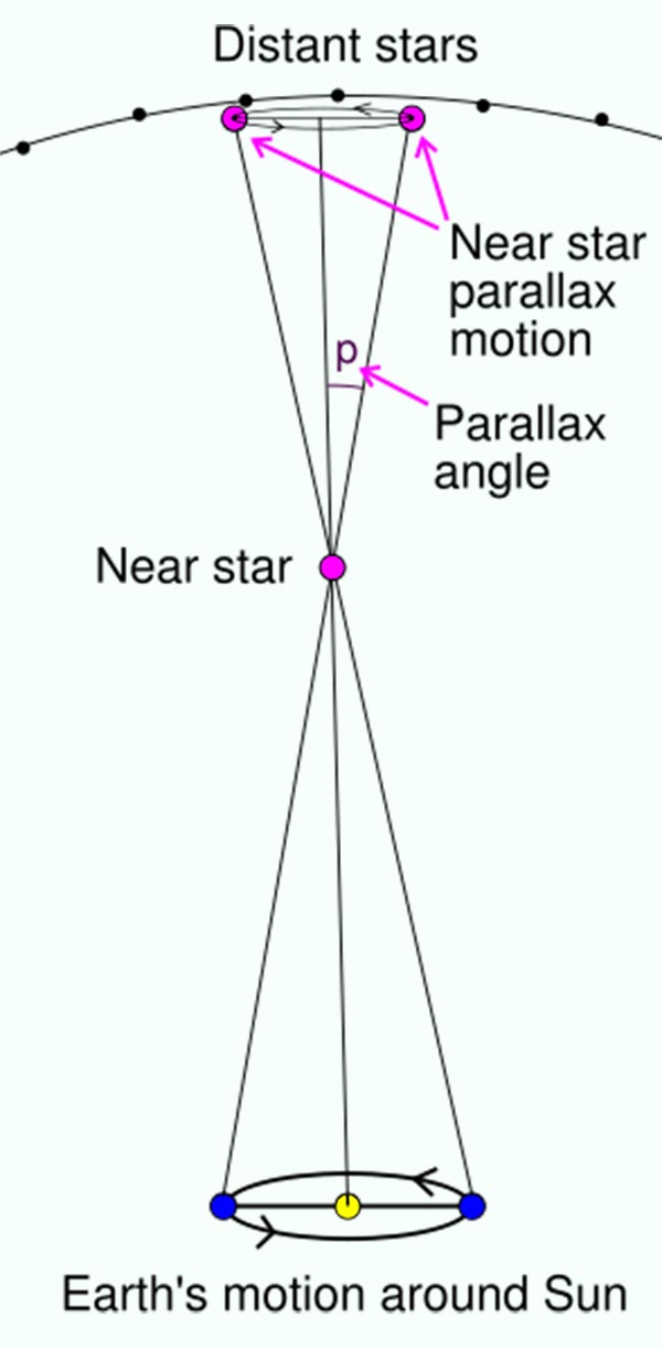 Image of theStellar Parallax diagram. The apparent motion of a near by star is a small ellipse in the sky relative to background stars over the period of a year. The angle representing major axis radius of the elliptical path is the parallax angle. The minor axis radius angle is simply related to the direction of the star relative to the earth's orbital axis. Stars near the north and south poles will make perfect circles, while stars near the ecliptic will make flat ellipses.