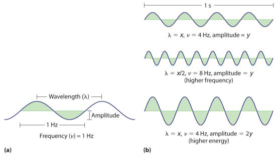 The wavelength is the distance from one peak to the next peak. The amplitude is the height of the peak. 