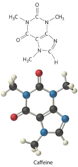 A structural diagram and a 3D ball-and-stick model of the caffeine molecule, with labeled atoms and bonds. The word Caffeine is written at the bottom.