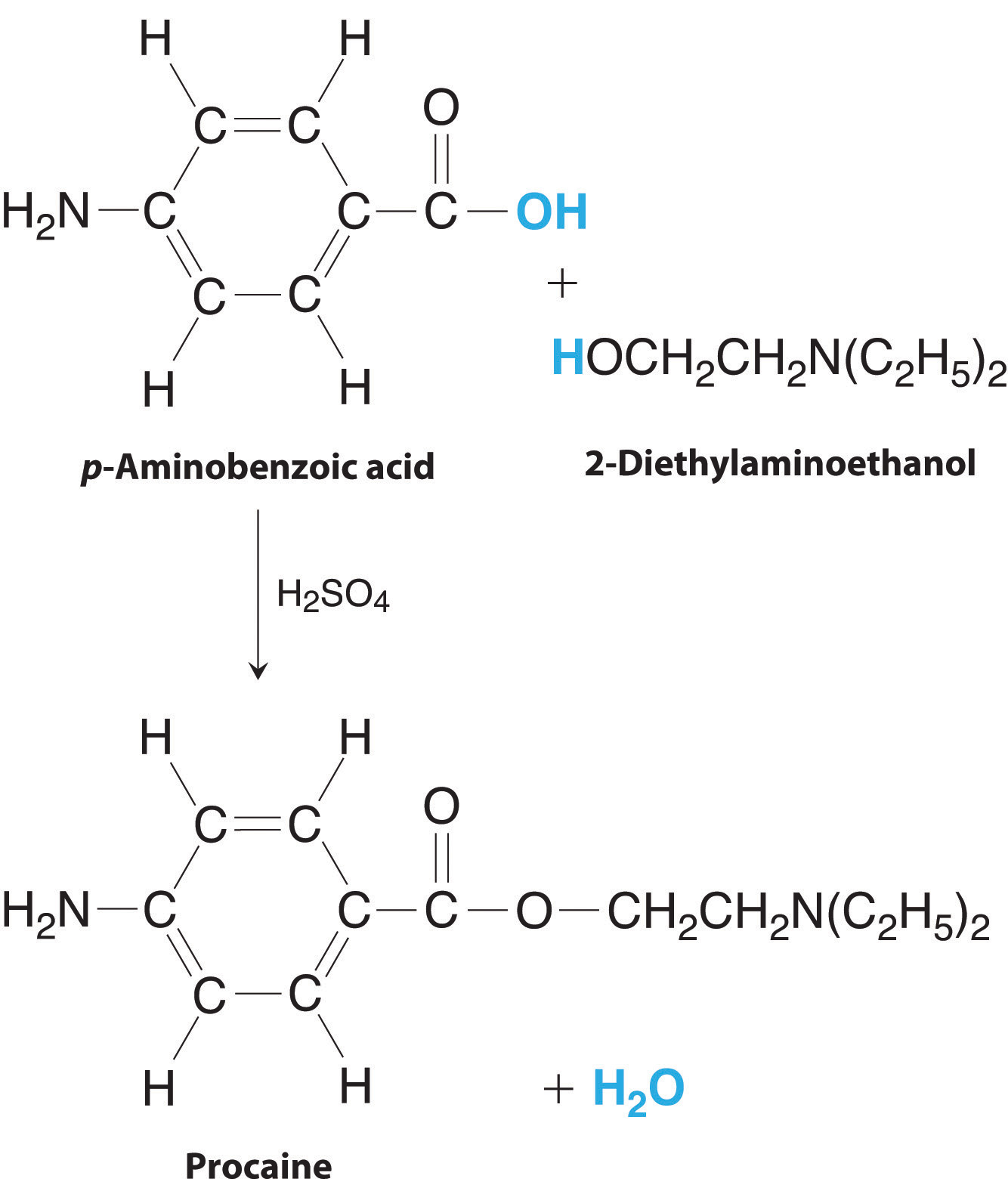 El ácido p-aminobencoico y el 2-dietilaminoetanol reaccionan con ácido sulfúrico para formar procaína y agua.