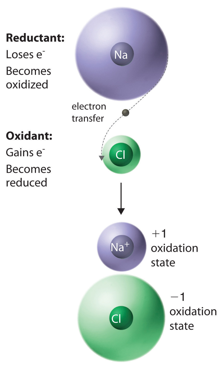 El reductor (sodio) pierde un electrón para oxidarse. El electrón se transfiere al oxidante (cloro) el cual se reduce.