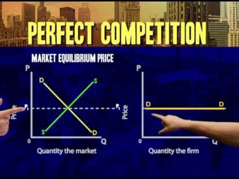 Thumbnail for the embedded element "Perfect competiton: Demand curve for individual producer"