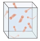 Molecules in a box bouncing off of each other and the container walls.