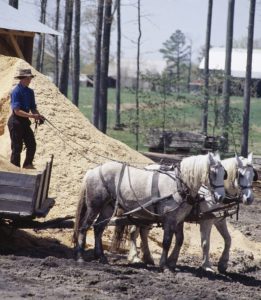 Amish farm scene