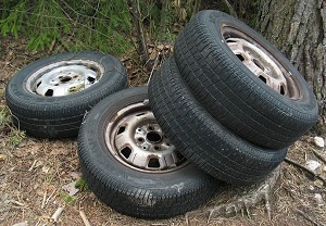 800px-Tires_in_forest.jpg