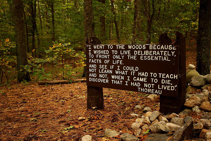 Thoreau Sign with Quotation, 'I went to the woods because I wished to live deliberately, to front only the essential facts of life. And see if I could not learn what I had to teach and not, when I came to die, discover that I had not lived. Thoreau