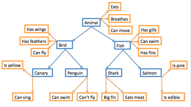 Concept map of words. Animal nouns are in blue, with descriptors in orange, connected by lines and arrows. Animal (eats; breathes; can move); Fish (has gills; can swim; has fins); Shark (big fin, eats meat); Salmon (is pink, is edible). Connecting from Animal on the left: Bird (has wings; has feathers; can fly); Canary (is yellow, can sing); Penguin (can swim, can't fly).