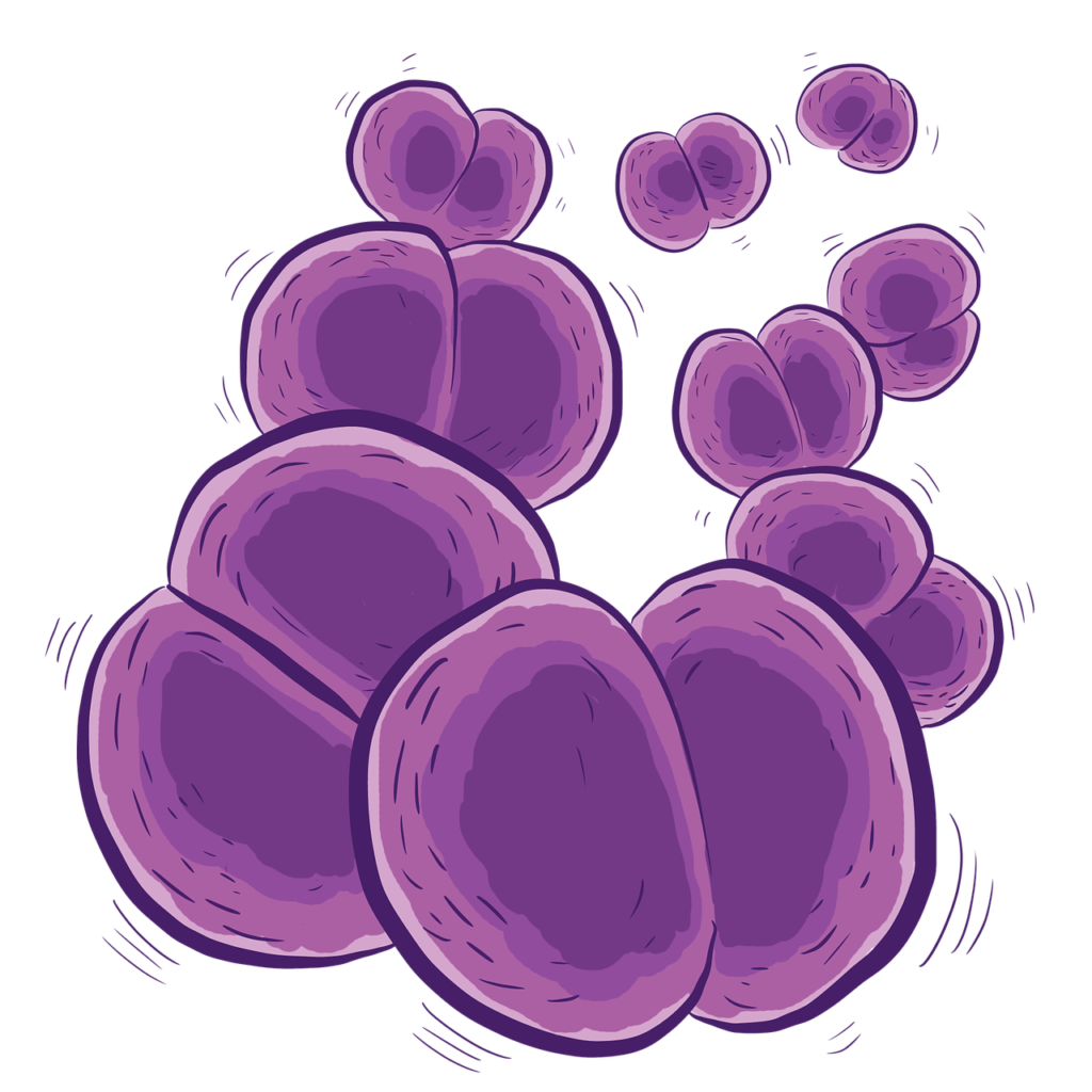 Drawing of bacteria as purple two-lobed shapes