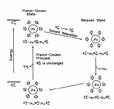 solvent and fl 2.jpg