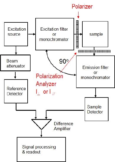 10.3.5: Fluorescence Polarazation Analysis - Chemistry LibreTexts