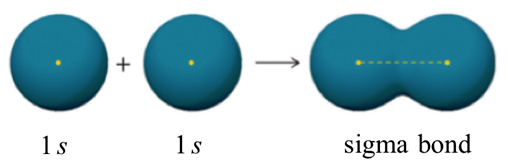 Two 1 s orbitals form a sigma bond. 